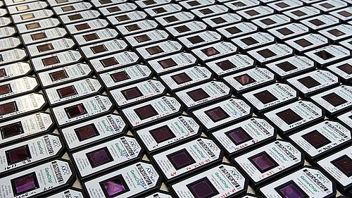 Molecular Neuroscience