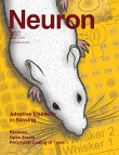 Neuron2014